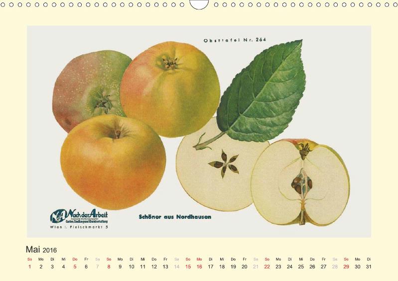Apfel Fur Was Gut Alte Apfelsorten für Allergiker - CALVENDO