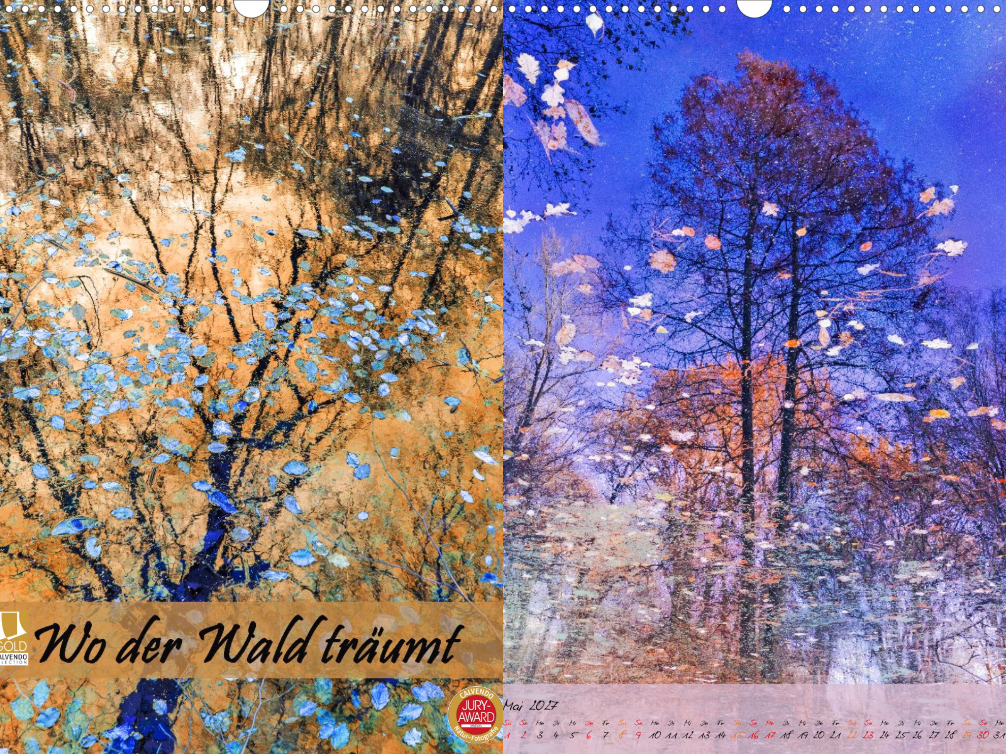 Kalender Wo der Wald tr&auml;umt