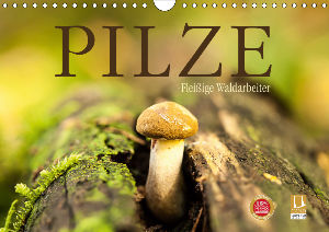 Pilze.COV.jpg