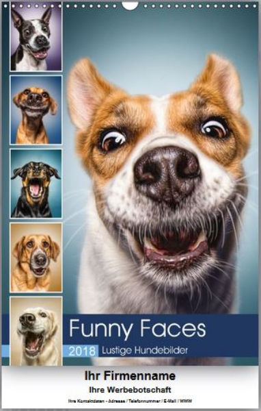 Funny_Faces_Firmen.JPG