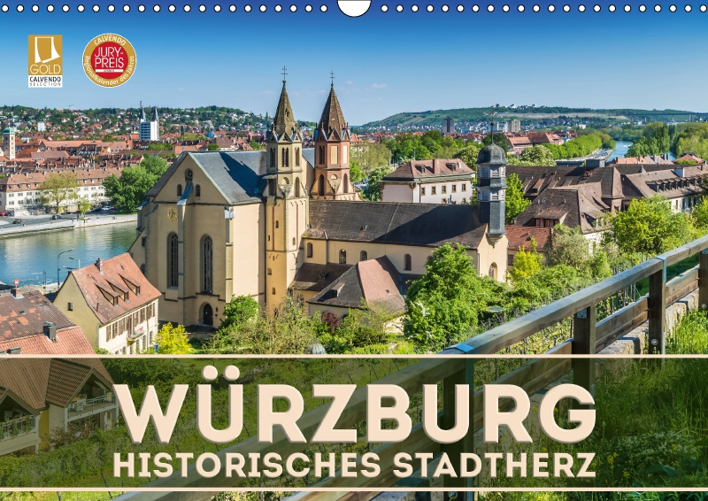 Viola_Wuerzburg.jpg