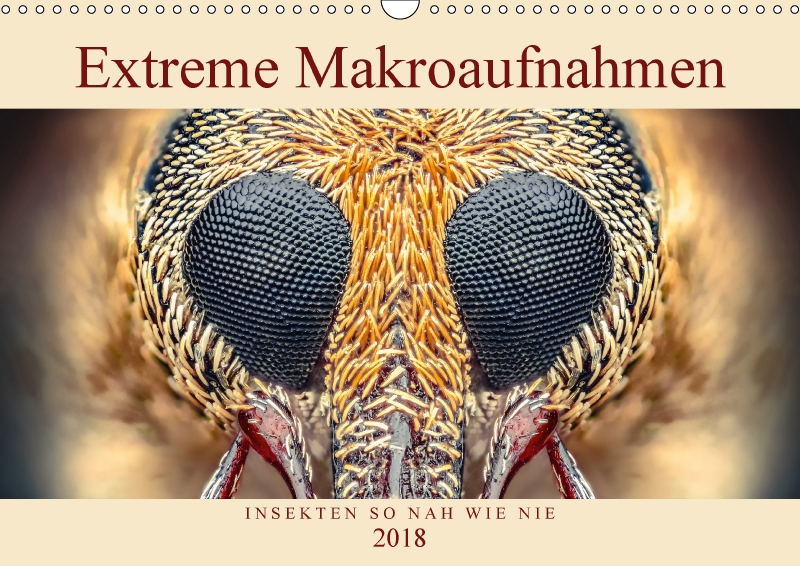 Ferdigrafie_Extreme-Makroaufnahmen.jpg