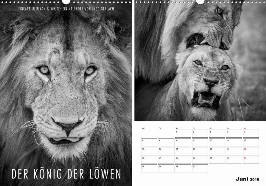Ingo-Gerlach_Koenig-der-Loewen.JPG