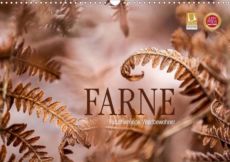 Markus-Wuchenauer_FARNE-faszinierende-Waldbewohner.jpg