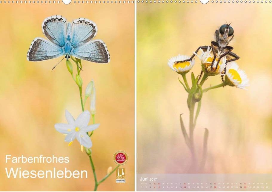 Perdita-Petzl_Farbenfrohes-Wiesenleben.JPG
