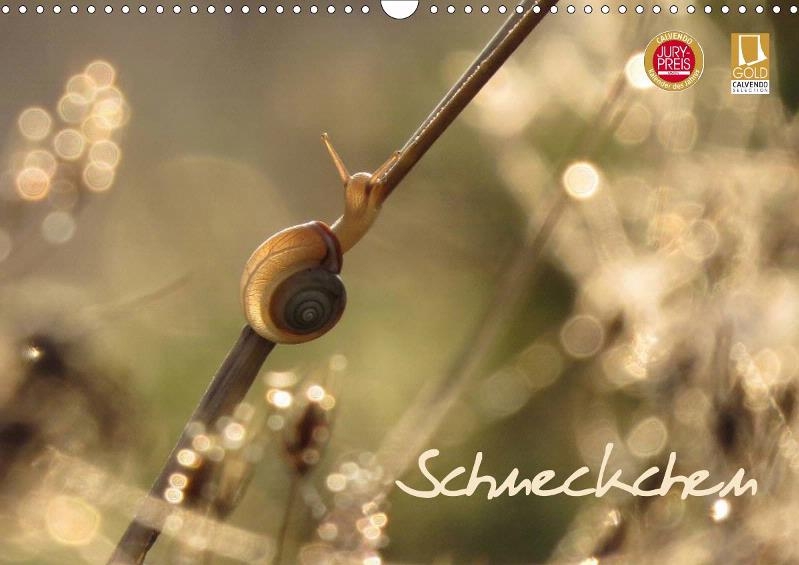 schneckchen.jpg