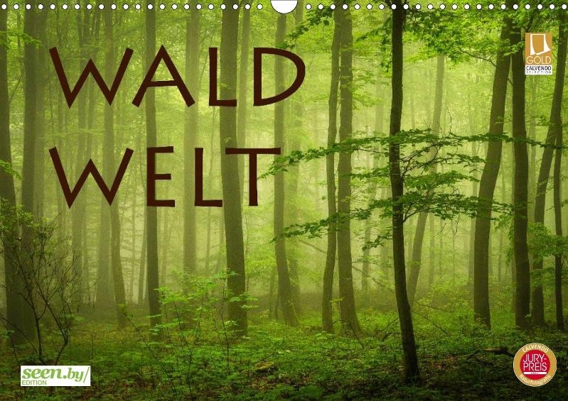 waldwelt.jpg