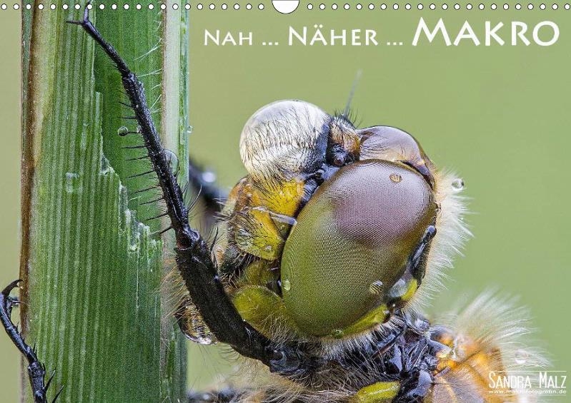 makro.jpg