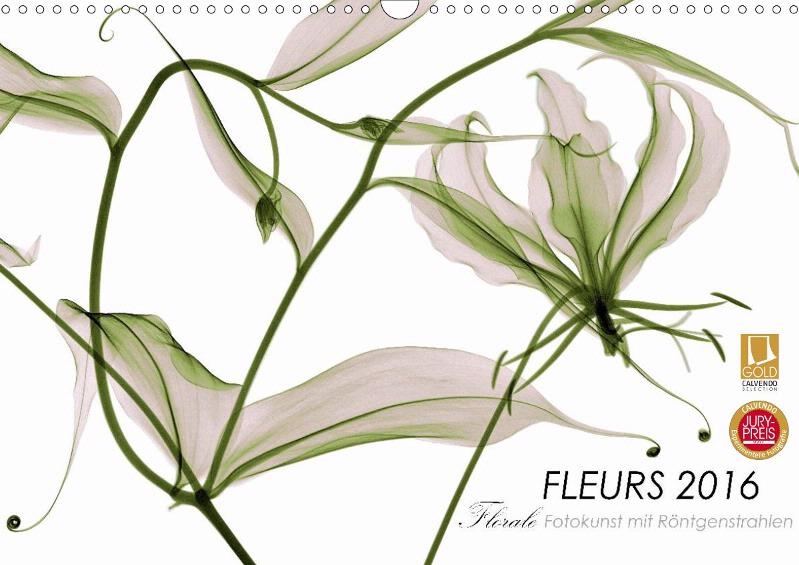 fleurs.jpg