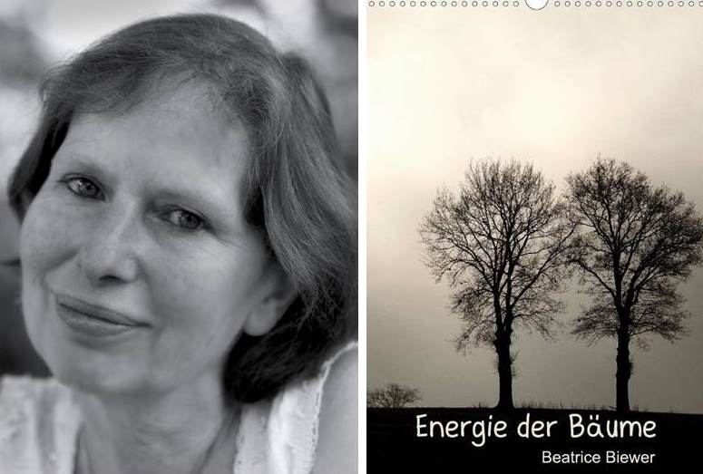 biewer_baeume.jpg