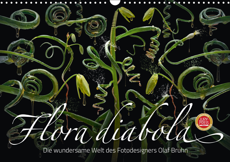 Flora diabola.COV.jpg