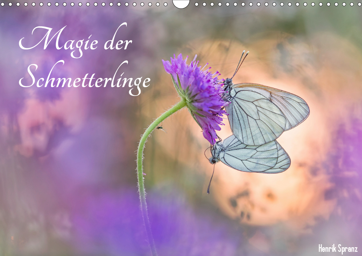 Magie der Schmetterlinge.COV.jpg